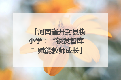 河南省开封县街小学：“银发智库”赋能教师成长
