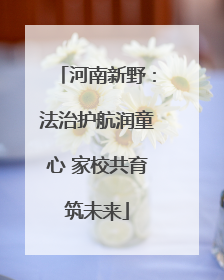 河南新野：法治护航润童心 家校共育筑未来