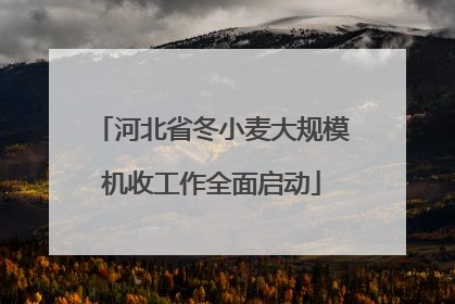 河北省冬小麦大规模机收工作全面启动