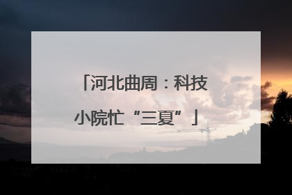 河北曲周：科技小院忙“三夏”