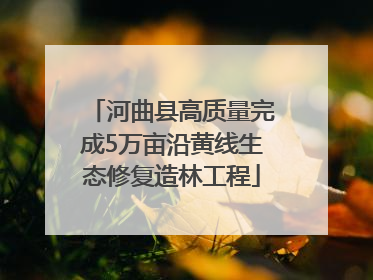 河曲县高质量完成5万亩沿黄线生态修复造林工程