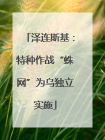 泽连斯基：特种作战“蛛网”为乌独立实施