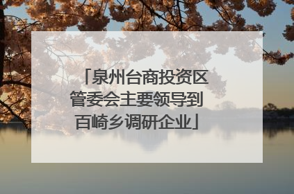 泉州台商投资区管委会主要领导到百崎乡调研企业
