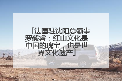 法国驻沈阳总领事罗毅睿：红山文化是中国的瑰宝，也是世界文化遗产