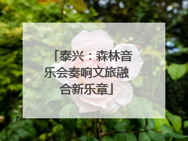 泰兴：森林音乐会奏响文旅融合新乐章