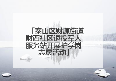 泰山区财源街道财西社区退役军人服务站开展护学岗志愿活动