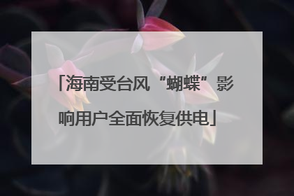 海南受台风“蝴蝶”影响用户全面恢复供电