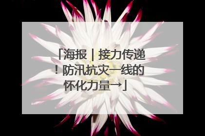 海报｜接力传递！防汛抗灾一线的怀化力量→