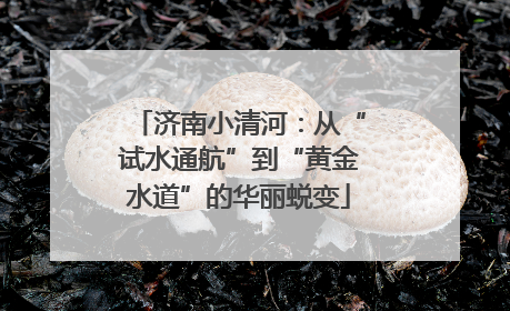 济南小清河：从“试水通航”到“黄金水道”的华丽蜕变
