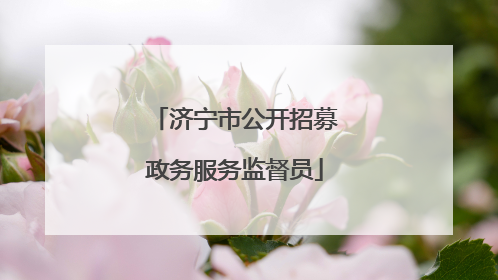 济宁市公开招募政务服务监督员