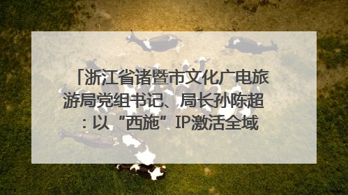 浙江省诸暨市文化广电旅游局党组书记、局长孙陈超：以“西施”IP激活全域旅游 打造县域文旅融合新标杆｜第七届全国县域旅游研究成果发布系列活动