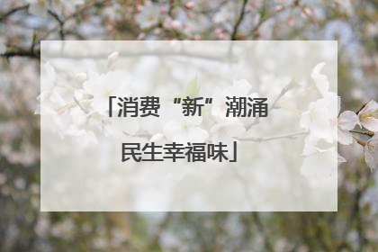 消费“新”潮涌 民生幸福味