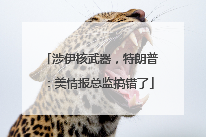 涉伊核武器，特朗普：美情报总监搞错了