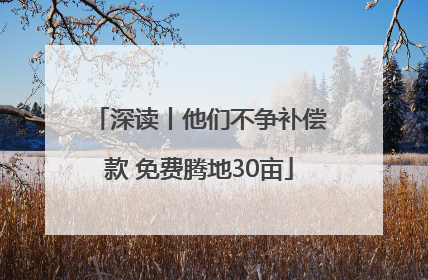 深读丨他们不争补偿款 免费腾地30亩