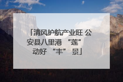 清风护航产业旺 公安县八里港 “莲” 动好 “丰” 景