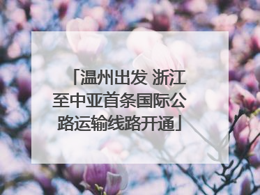 温州出发 浙江至中亚首条国际公路运输线路开通
