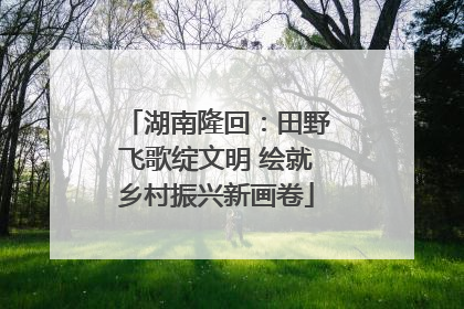 湖南隆回：田野飞歌绽文明 绘就乡村振兴新画卷