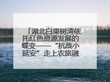 湖北白果树湾依托红色资源发展的蝶变——“抗战小延安”走上农旅融合振兴路