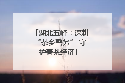 湖北五峰：深耕“茶乡警务” 守护春茶经济