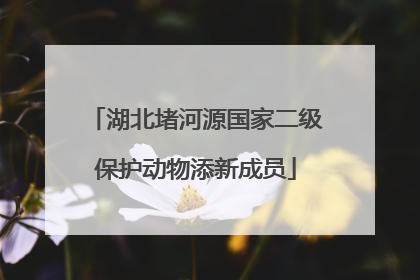 湖北堵河源国家二级保护动物添新成员