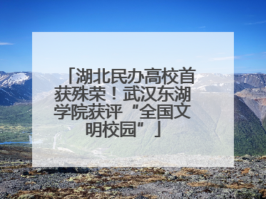 湖北民办高校首获殊荣！武汉东湖学院获评“全国文明校园”