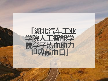 湖北汽车工业学院人工智能学院学子热血助力世界献血日