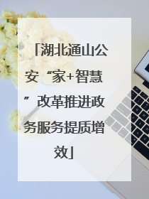 湖北通山公安“家+智慧”改革推进政务服务提质增效