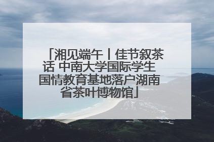 湘见端午丨佳节叙茶话 中南大学国际学生国情教育基地落户湖南省茶叶博物馆