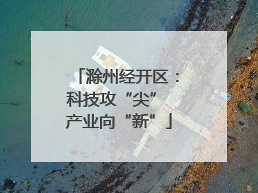滁州经开区：科技攻“尖” 产业向“新”