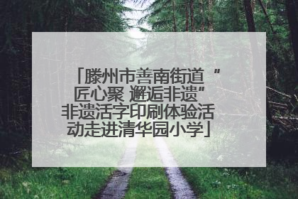 滕州市善南街道“匠心聚 邂逅非遗”非遗活字印刷体验活动走进清华园小学