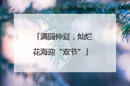 满园仲夏，灿烂花海迎“双节”