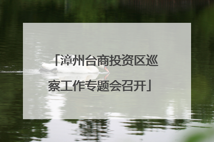 漳州台商投资区巡察工作专题会召开