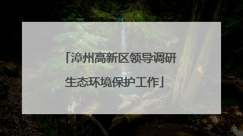漳州高新区领导调研生态环境保护工作