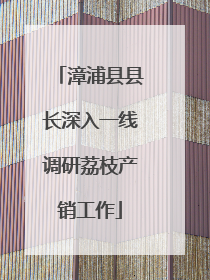 漳浦县县长深入一线调研荔枝产销工作