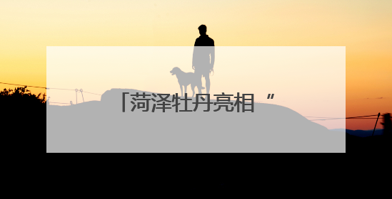 菏泽牡丹亮相“哈洽会”撬动国际合作新机遇