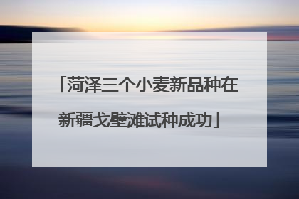 菏泽三个小麦新品种在新疆戈壁滩试种成功