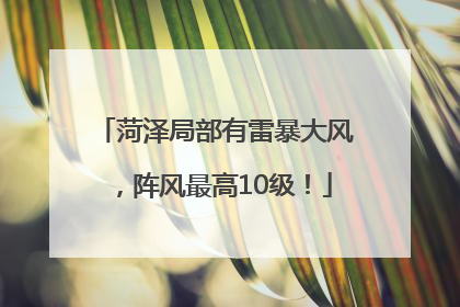 菏泽局部有雷暴大风，阵风最高10级！
