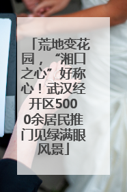 荒地变花园，“湘口之心”好称心！武汉经开区5000余居民推门见绿满眼风景