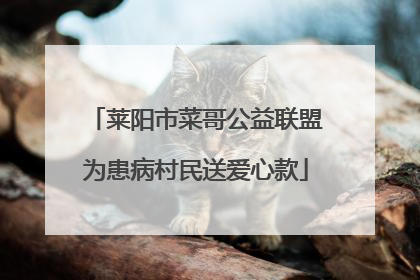 莱阳市菜哥公益联盟为患病村民送爱心款