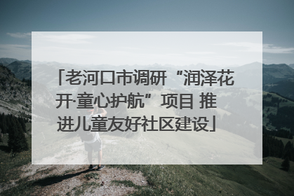 老河口市调研“润泽花开·童心护航”项目 推进儿童友好社区建设