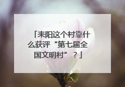 耒阳这个村靠什么获评“第七届全国文明村”？