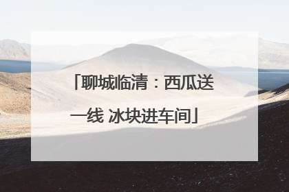 聊城临清：西瓜送一线 冰块进车间