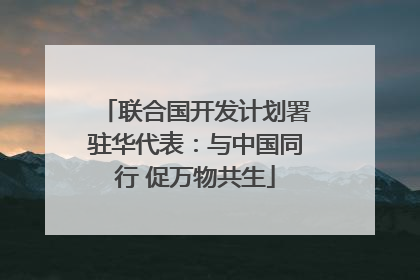 联合国开发计划署驻华代表：与中国同行 促万物共生