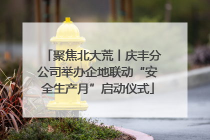聚焦北大荒丨庆丰分公司举办企地联动“安全生产月”启动仪式