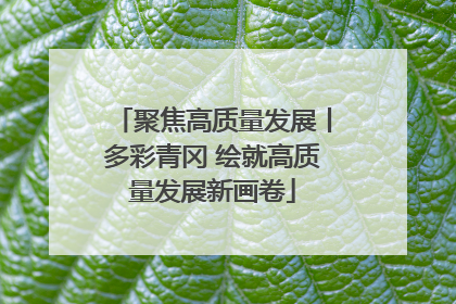 聚焦高质量发展丨多彩青冈 绘就高质量发展新画卷