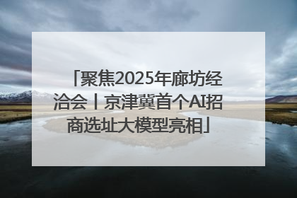聚焦2025年廊坊经洽会丨京津冀首个AI招商选址大模型亮相