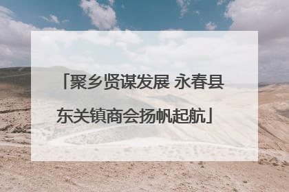 聚乡贤谋发展 永春县东关镇商会扬帆起航