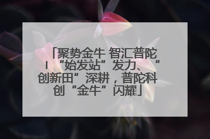 聚势金牛 智汇普陀〡“始发站”发力、“创新田”深耕，普陀科创“金牛”闪耀