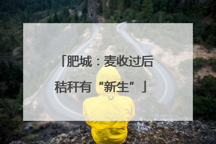 肥城：麦收过后秸秆有“新生”