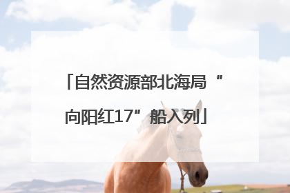 自然资源部北海局“向阳红17”船入列